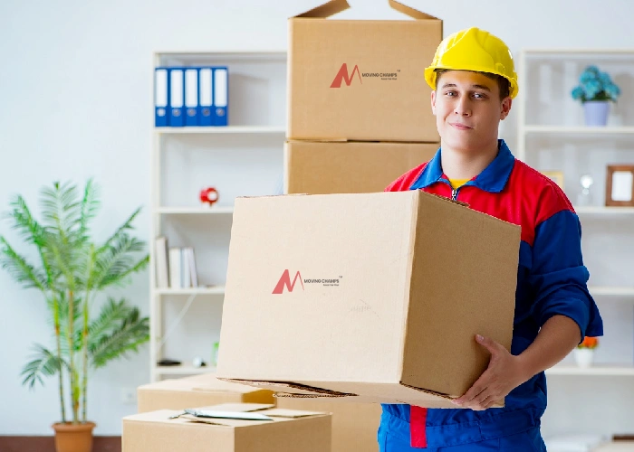 >Clearance Services Sydney